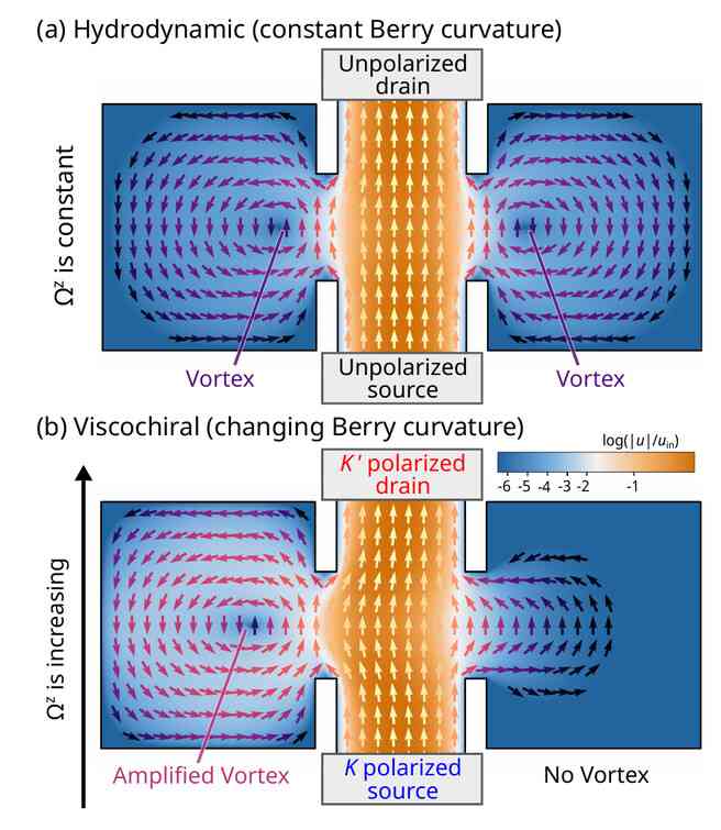 Figure 1 from Viscochiral Transport, comparing symmetric hydrodynamic vortices with chiral vortex selection